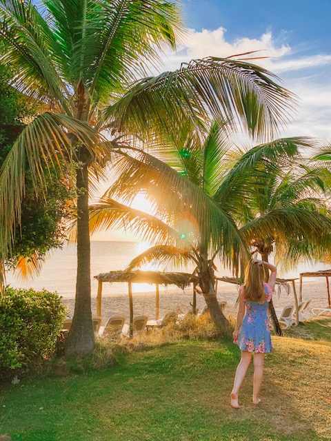 sunset palm trees beach st lucia