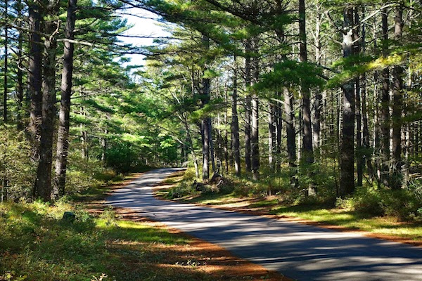 New England Travel Guide Summer Wareham Massachusetts