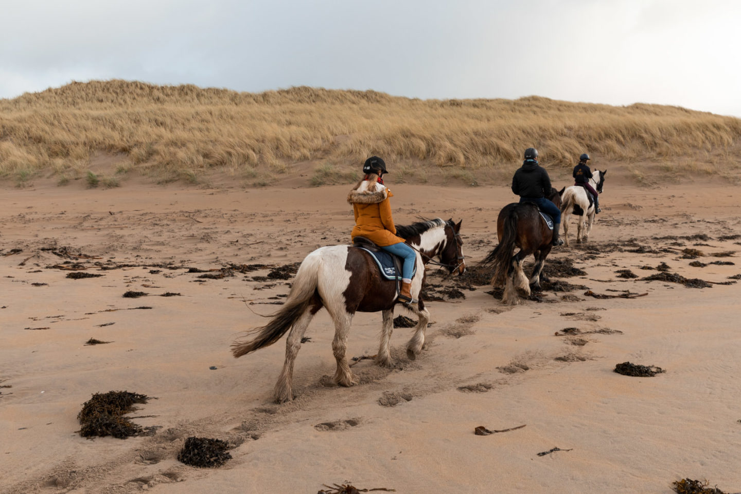 riding horses on beach in ireland